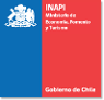 logo Inapi